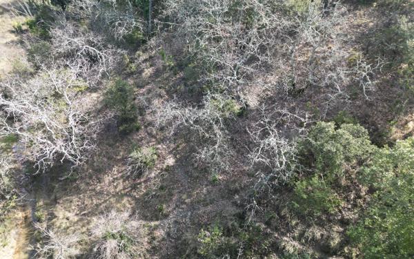 Terrain à vendre    Lagorce