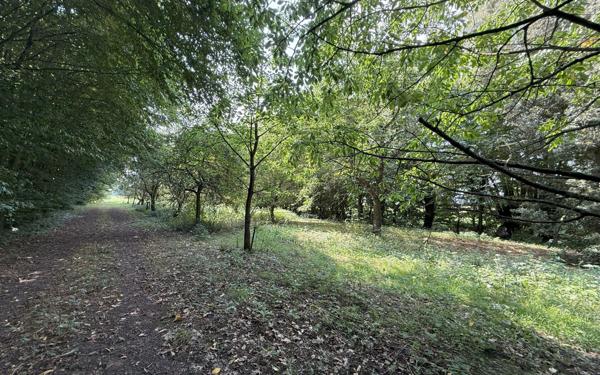Maison à vendre    5 pièces •  La Gorgue