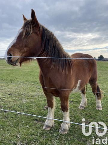 Terrain à vendre 10 000 m² Plouhinec