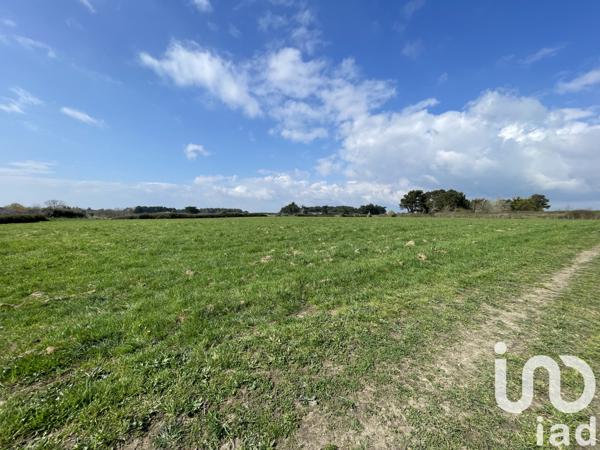 Terrain à vendre 10 000 m² Plouhinec