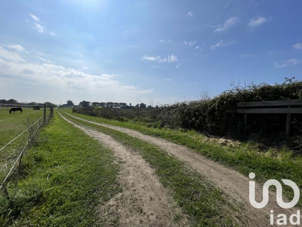 Terrain à vendre 10 000 m² Plouhinec