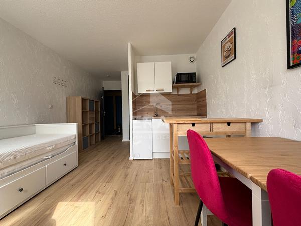 Orleans - PROCHE PONT DE  L EUROPE - Studio meublé de 21m2