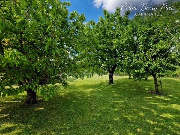 Maison à vendre 7 pièces 161 M2 PONT SUR YONNE (89), Terrain 1974 M2, 4 Chambres, Piscine avec abri 10 M X 5 m