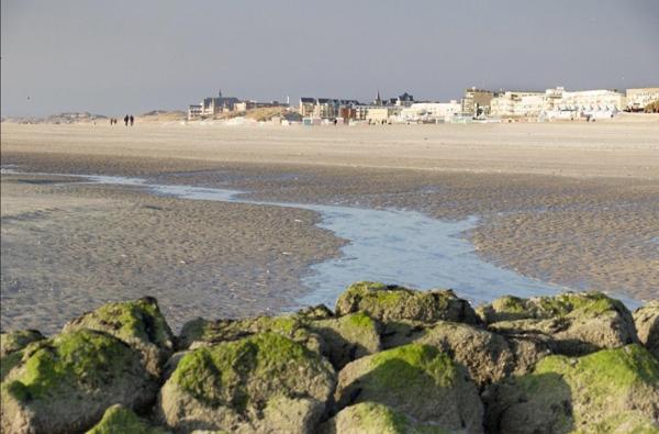 T1 de 25m2 en rez de-chaussée