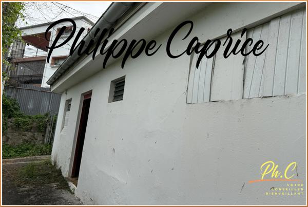 Opportunité d'Investissement à TRINITE (972)