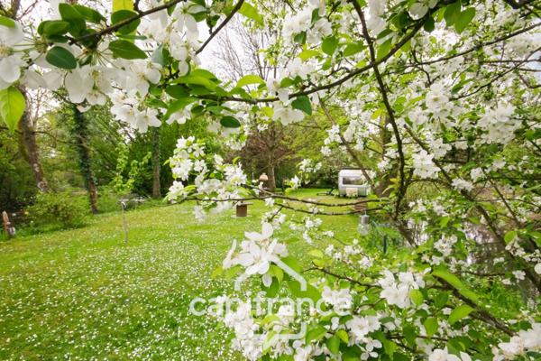 Proche SAINT-QUENTIN (02) : terrain de loisir 3200 m² au bord de l’Oise avec Chalet et potentiel locatif