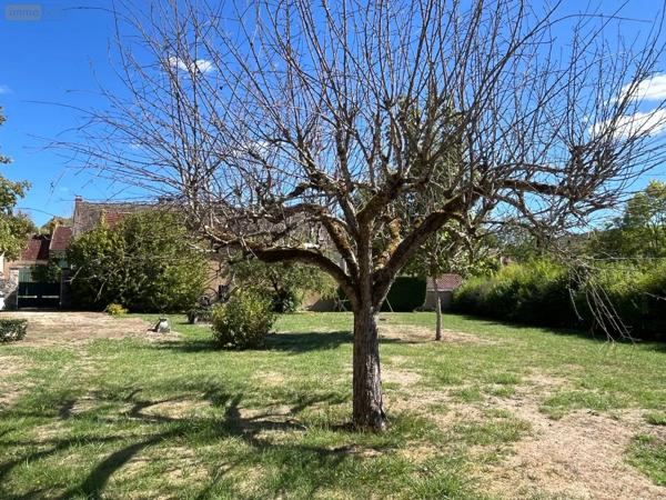 Achat - Propriété | Propriété Voutenay-sur-Cure 89270 8 pièces 216 m 2 2358 m 2