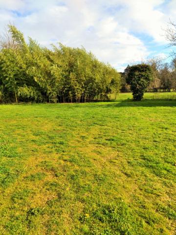 Terrain à vendre à Ciron (36300) - Indre