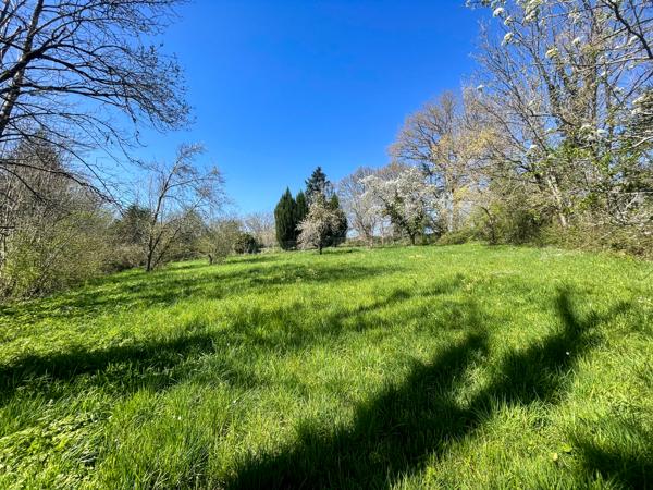 Terrain à vendre à Alloue (16490) - Charente