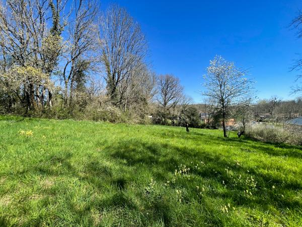 Terrain à vendre à Alloue (16490) - Charente