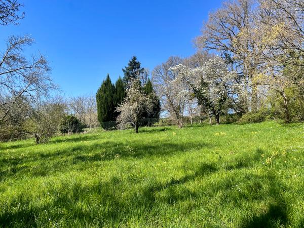 Terrain à vendre à Alloue (16490) - Charente