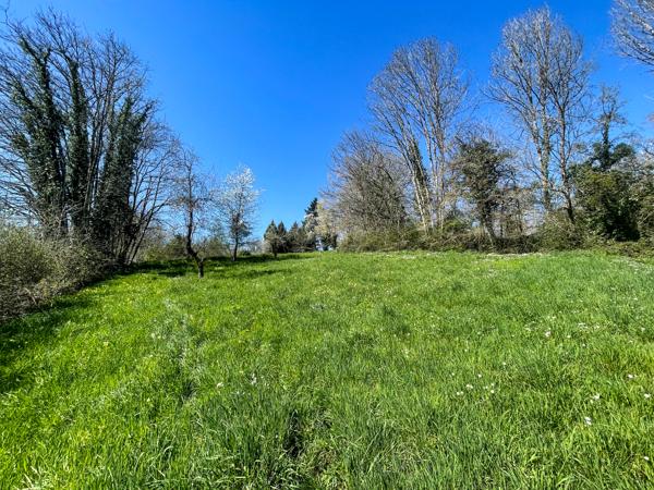 Terrain à vendre à Alloue (16490) - Charente