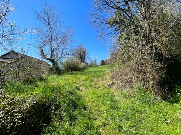 Terrain à vendre à Alloue (16490) - Charente