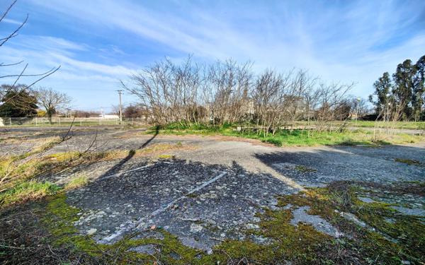 Terrain à vendre    Noé