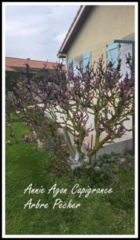 Maison à vendre 5 pièces VILLECOMTAL SUR ARROS (32)