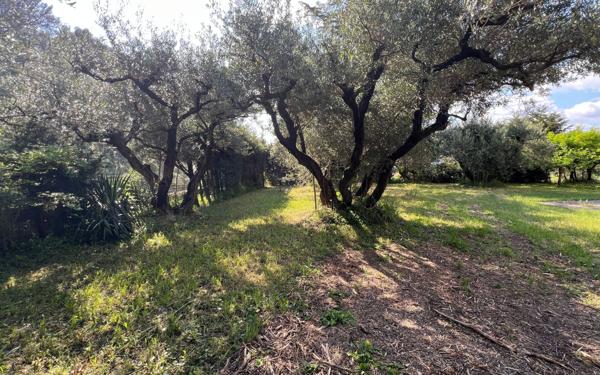 Maison à vendre    5 pièces • 206 m2 Barbentane