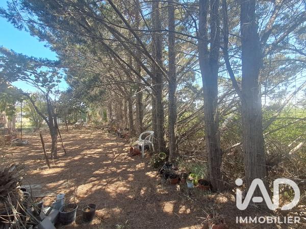 Terrain à vendre 1 707 m² Lézignan-Corbières