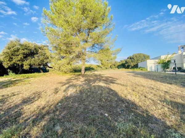 Terrain à bâtir 1000m2 secteur MAUMARIN 
