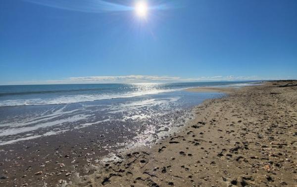 Vente Maison à 400 mètres de la plage Portiragnes-plage   