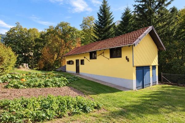 Vente / Ferme à Saint-Maurice-sur-Moselle (88560)