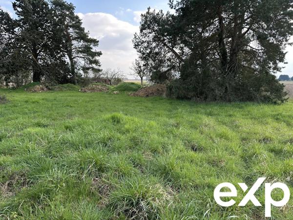 Terrain Constructible à Athée-sur-Cher