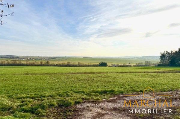 maison de caractère-LAQUENEXY-25 ares de terrain-gros potentiel