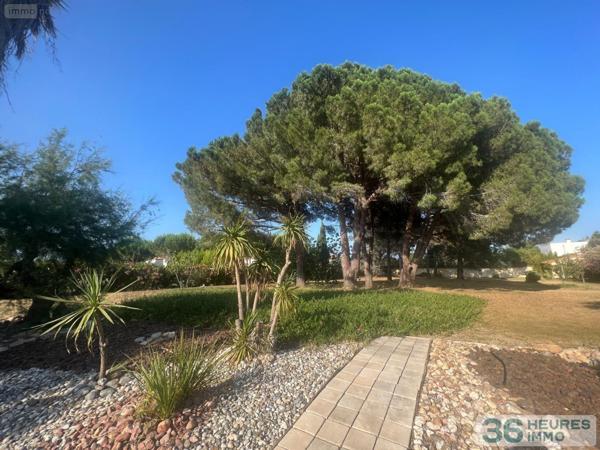 Maison à vendre à Perpignan dans les Pyrénées-Orientales (66000), ref : 66018/2025/06/6-VI