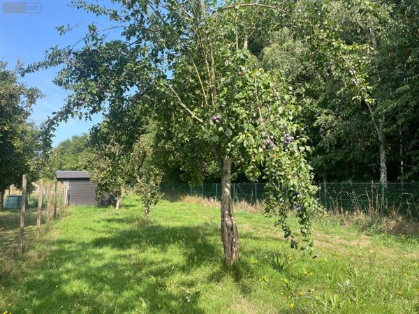 Maison à vendre à Izé en Mayenne (53160), ref : 12703/3624