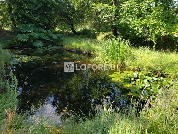 Achat maison près de TREDREZ LOCQUEMEAU - 4 pièce(s) - 140 m² - 336 000 €