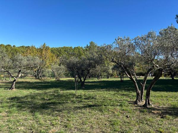 Terrain constructible 1622 m2