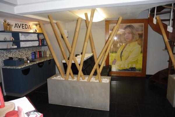 Salon de Coiffure CENTRE VILLE BLOIS (41)