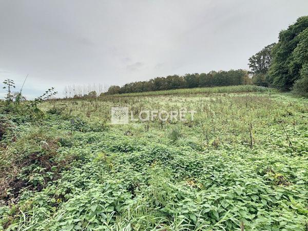 Achat maison près de GOMENE - 4 pièce(s) - 100 m² - 100 000 €