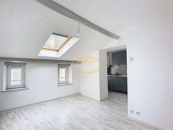 APPARTEMENT T2 EN PARFAIT ETAT - SAINT-MIHIEL Saint-mihiel
