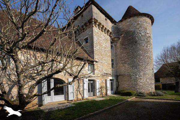 Château à vendre 832 000 € Ambeyrac 7 p 295 m² DPE