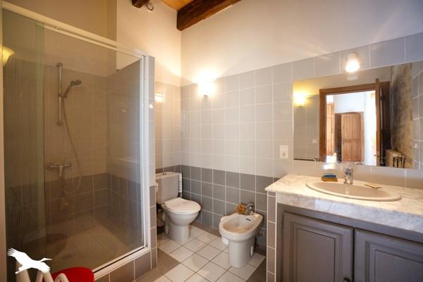 Château à vendre 832 000 € Ambeyrac 7 p 295 m² DPE