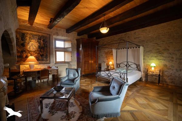 Château à vendre 832 000 € Ambeyrac 7 p 295 m² DPE