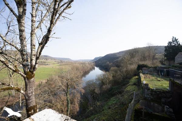 Château à vendre 832 000 € Ambeyrac 7 p 295 m² DPE