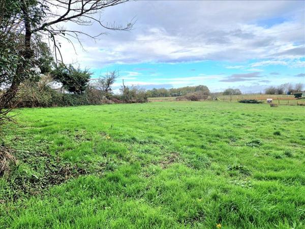 Terrain à vendre |  Saverdun |  3000 m²