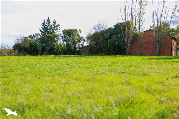 Terrain à vendre |  Saverdun |  3000 m²