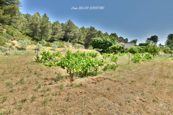 Meyreuil (13590) Maison familiale à MEYREUIL de 223 m2 constituée actuellement de 3 logements sur sa parcelle de 4000 m2