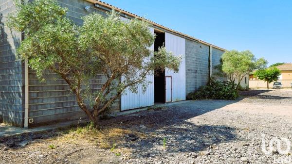 Maison à vendre 6 pièces 160 m² Puissalicon