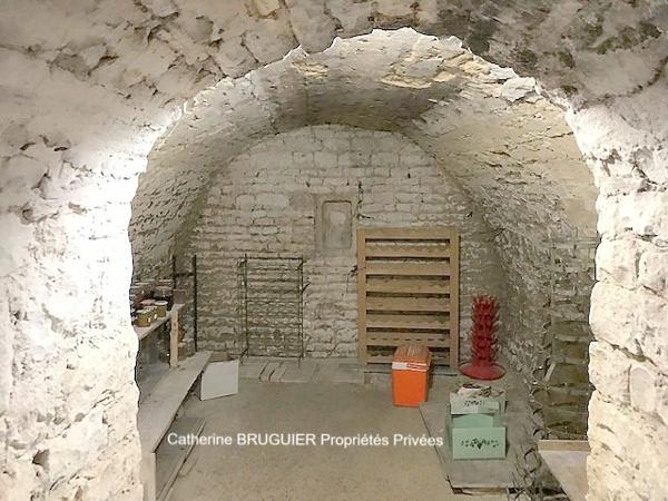 Demeure de prestige 10 pièces 335 m2 dépendances et parc 3735 m2