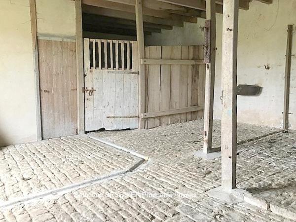 Demeure de prestige 10 pièces 335 m2 dépendances et parc 3735 m2