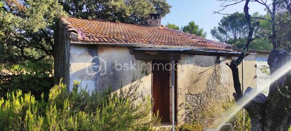 Terrain de loisirs de 6 426 m²