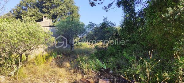 Terrain de loisirs de 6 426 m²