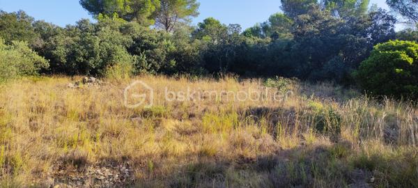 Terrain de loisirs de 6 426 m²