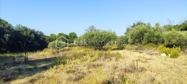 Terrain de loisirs de 6 426 m²