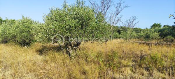 Terrain de loisirs de 6 426 m²