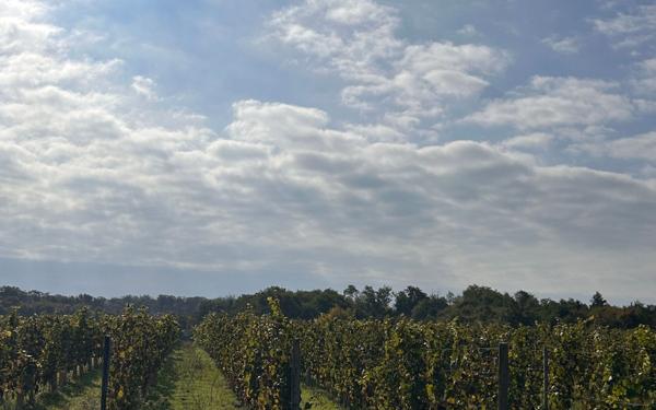 Terrain à vendre    Huisseau-sur-Cosson