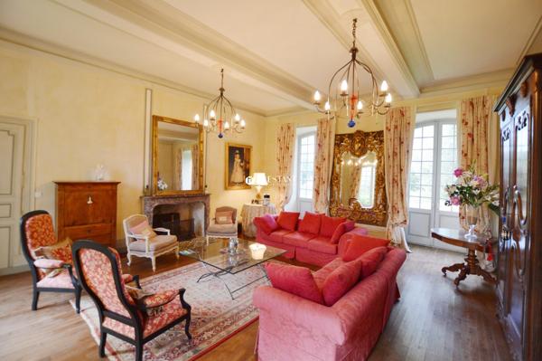 45 minutes de Bergerac – 1h30 de Bordeaux – Superbe château 17e en Périgord Vert., RIBERAC